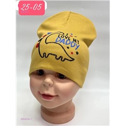 шапка 2054024-1