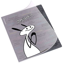 Тетрадь 48л с пластиковой обложкой "Чубрик" по физике 59472 ErichKrause