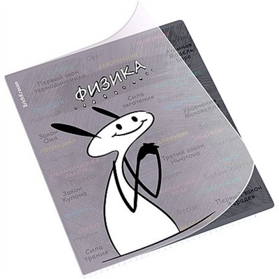 Тетрадь 48л с пластиковой обложкой "Чубрик" по физике 59472 ErichKrause