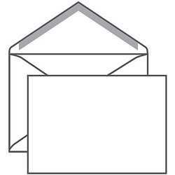 Конверт 162х229 мм декстрин/чистый С5 4607122771342 (000762) Ряжская печатная фабрика