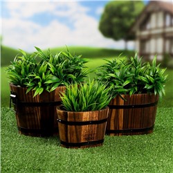 Набор кашпо для цветов, 22×18×14 см, деревянный, 3 шт.