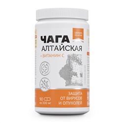 Концентрат Натурведъ №9 Чага 90 капс.