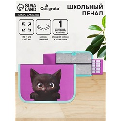 Пенал школьный, 1 секция, 14×21×4 см «Котик»