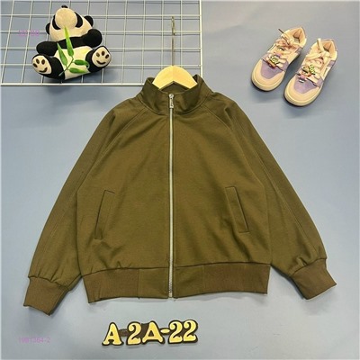 Толстовка 1981364-2