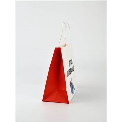 Набор пакетов подарочных новогодних «Так тебе и надо», 6 шт., 22×22×11 см