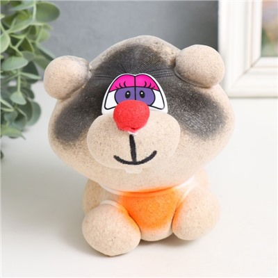 Набор для выращивания «ЭкоЖивчик. Енот», фигурка растущая в подарочной упаковке