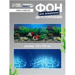 Фон для аквариума двухсторонний, 50×115 см