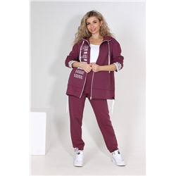 Костюм 46537 (толстовка + брюки) НАТАЛИ, 813266