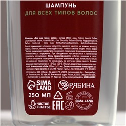 Подарочный набор новогодний «С НГ, бро»: гель для душа и шампунь для волос, 2×250 мл, Чистое счастье