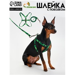 Комплект «Камуфляж», ОШ 16.5-27, ОГ 21-35 см, 120×1 см, капрон, зелёный