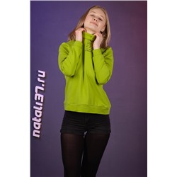 Водолазка 24309