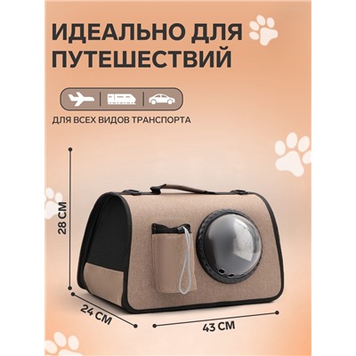 Сумка - переноска, 43×24×28 см, с органайзером и иллюминатором, коричневая