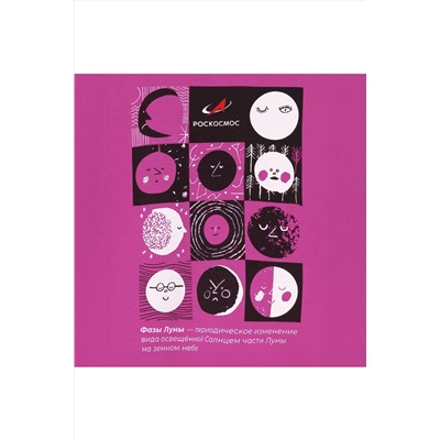 Свитшот BOSSA NOVA, 1077727