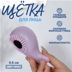Щётка для умывания «Кит», силиконовая и поролоновая, 9.8 см, МИКС