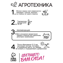 Семена цветов Алиссум "Снежный ковер", 0,05 г