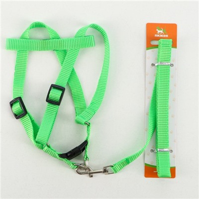 Шлейка с поводком «Базис», 32-46×1.5 см, поводок 120×1.5 см, зелёная