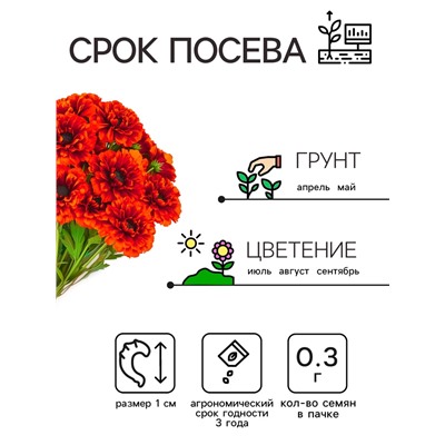 Семена цветов Календула махровая «Ред виз блэк центр», 0.3 г, «Рецепты дедушки Никиты»