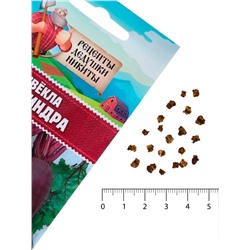 Семена Свёкла «Цилиндра», 2 г, «Рецепты дедушки Никиты»