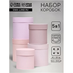 Набор шляпных подарочных коробок 5 в 1 «Пудра»,20×20×20‒13.5×13.5×13.5 см