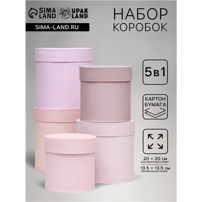 Набор шляпных подарочных коробок 5 в 1 «Пудра»,20×20×20‒13.5×13.5×13.5 см