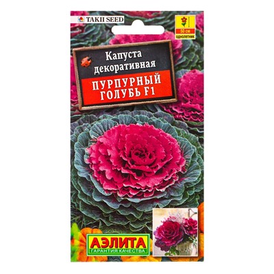 Семена цветов Капуста декоративная Пурпурный голубь F1  С. Takii Seed, Ц/П,7 шт.