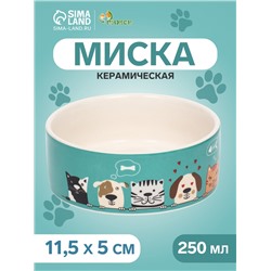 Миска керамическая «Кошки-собаки» 250 мл - 11.5×11.5×5 см, голубая/белая