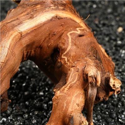 Коряга для аквариума «Лоза виноградная», 20 - 30 см