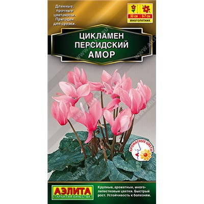 1907A Цикламен персидский Амор 3 шт