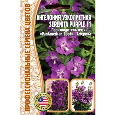 Ангелония узколистная Серенита парпл - Serenita Рurple (Редкие)