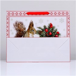 Пакет подарочный ламинированный горизонтальный «Белочка!», 49×40×19 см