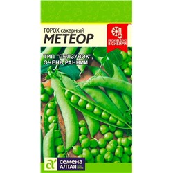 Горох Метеор Сем.Алтая