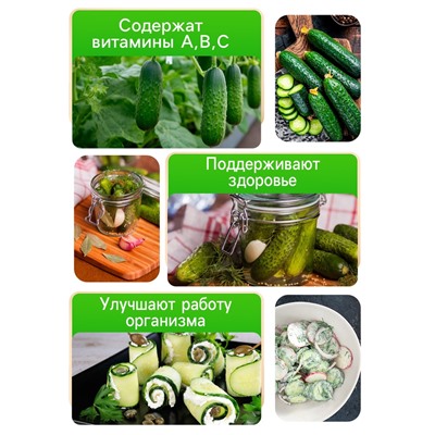 Семена Огурец "Засолочный", 0,5 г