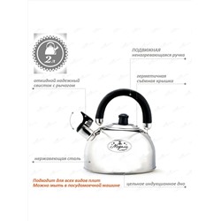 Merali Чайник ЧН20-02