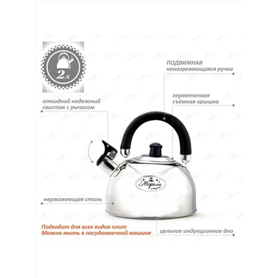 Merali Чайник ЧН20-02