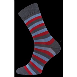 Носки мужские Брестские CLASSIC 2122