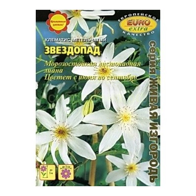 Клематис Звездопад метельчатый Мн (Аэлита)