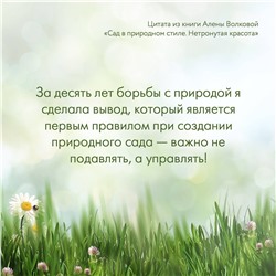 АСТ Алена Волкова "Сад в природном стиле. Нетронутая красота"