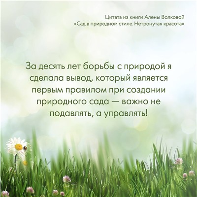 АСТ Алена Волкова "Сад в природном стиле. Нетронутая красота"