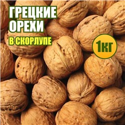 Грецкие орехи в скорлупе 1 кг.