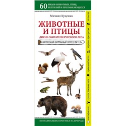 Эксмо Михаил Куценко "Животные и птицы. Дикие обитатели русского леса"