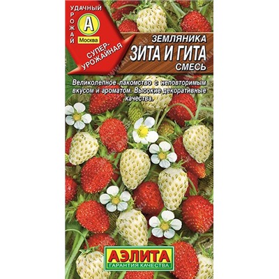 Земляника  Зита и Гита (Аэлита)