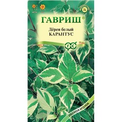 Дерен белый Карантус (Гавр)