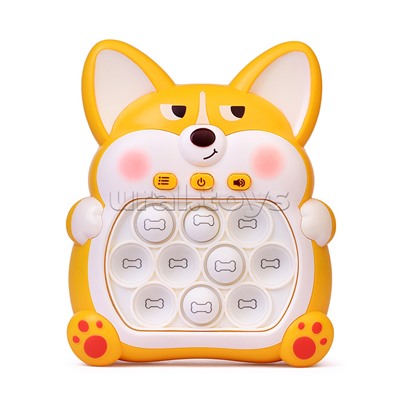 Игрушка-антистресс "Корги" в коробке