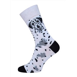 БРЕСТСКИЕ Носки 4200