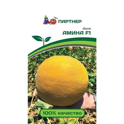 3016P Дыня АМИНА F1 5 шт