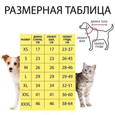 Свитер «Полоски», M (ДС 26, ОШ 26, ОГ 28-46 см)