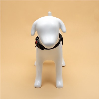 Шлейка К7, размер М, ОГ 52-66 см, вес 9.5-17.5 кг, мягкая, светоотражающая, чёрная