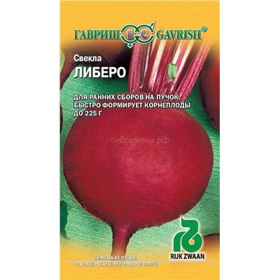 Свекла Либеро (Гавр)