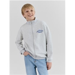 ТОЛСТОВКА ДЛЯ МАЛЬЧИКОВ 123448