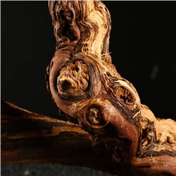 Коряга для аквариума «Лоза виноградная», 50 - 60 см